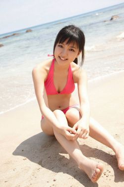 蒙特卡洛